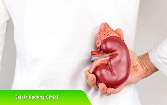 Kenali Gejala Radang Ginjal untuk Penanganan yang Tepat