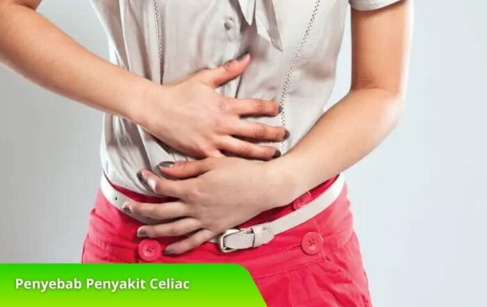 Penyebab Penyakit Celiac dan Dampaknya Pada Sistem Pencernaan