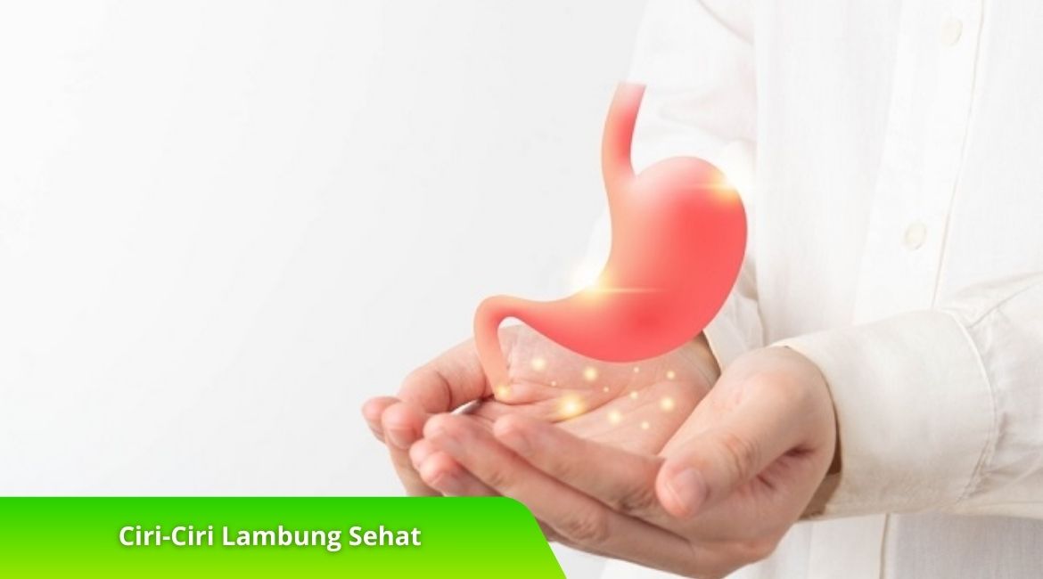 Ciri-Ciri Lambung Sehat dan Tips Menjaga Kesehatannya Ciri-Ciri Lambung Sehat dan Tips Menjaga Kesehatannya