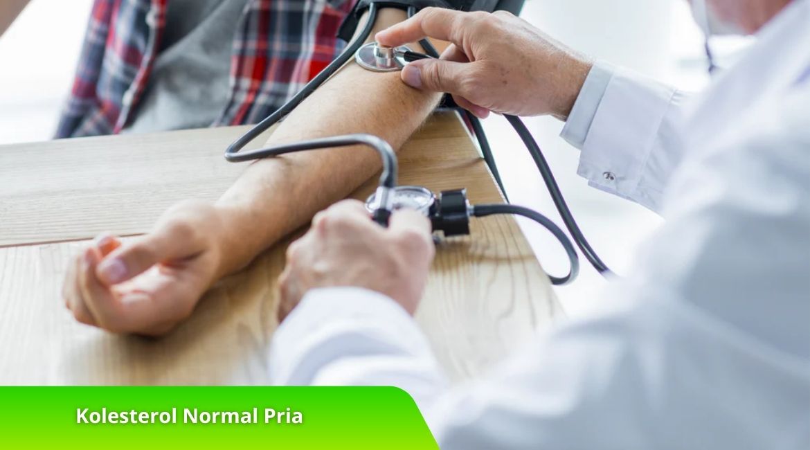 Kolesterol Normal Pria Sesuai Usia, Cari Tahu di Sini! Kolesterol Normal Pria Sesuai Usia, Cari Tahu di Sini!