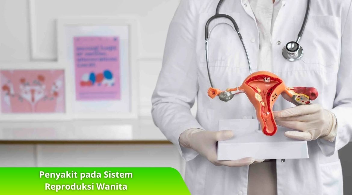 Penyakit pada Sistem Reproduksi Wanita yang Wajib Diwaspadai Penyakit pada Sistem Reproduksi Wanita yang Wajib Diwaspadai