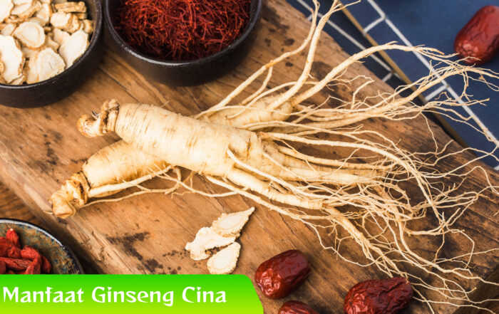 Terungkap! Ini 7 Manfaat Ginseng Cina untuk Tubuh