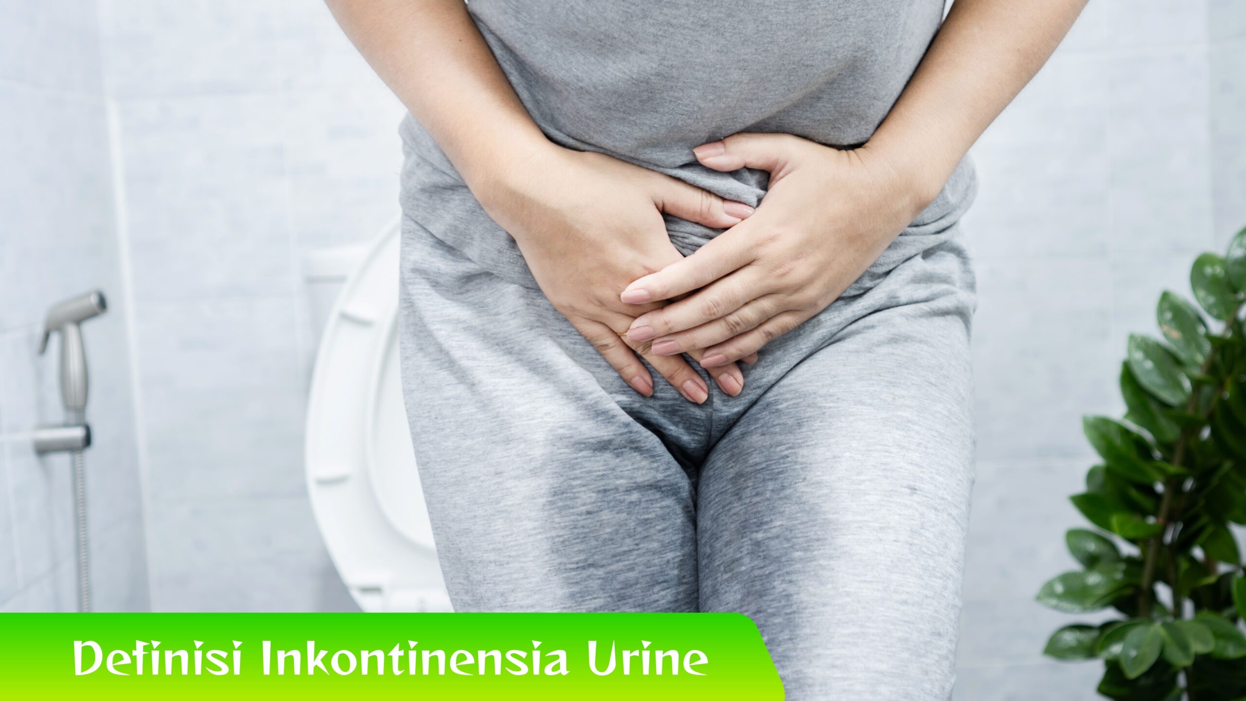 Definisi Inkontinensia Urine Apa Sebenarnya Definisi Inkontinensia Urine Itu? Yuk Simak!