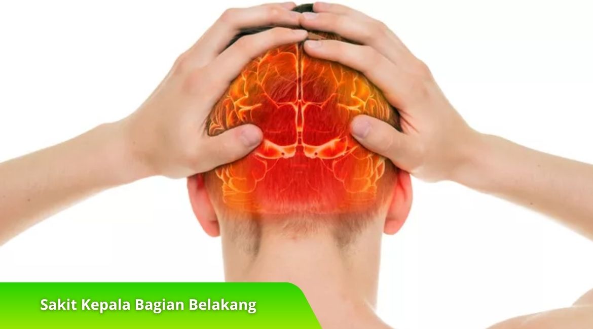 Faktor Pemicu Sakit Kepala Bagian Belakang yang Wajib Diketahui Faktor Pemicu Sakit Kepala Bagian Belakang yang Wajib Diketahui