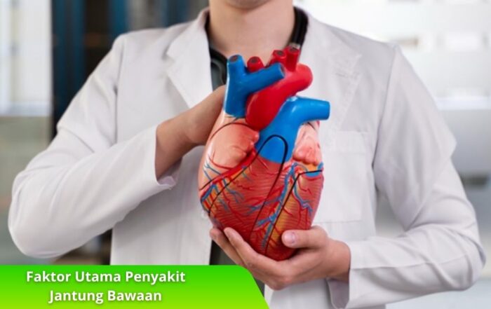 Faktor Utama Penyakit Jantung Bawaan dan Cara Pencegahannya