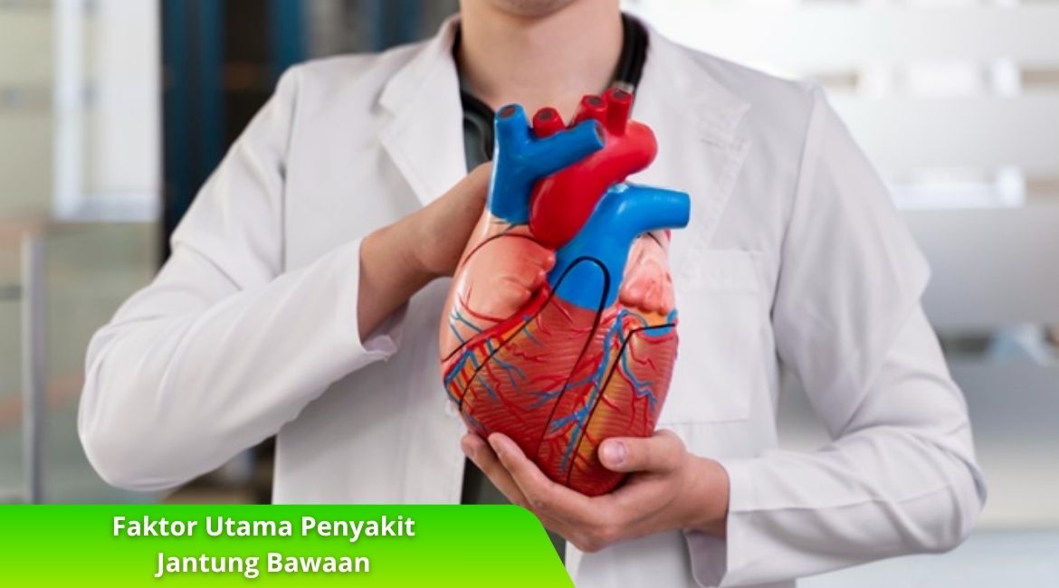 Faktor Utama Penyakit Jantung Bawaan dan Cara Pencegahannya Faktor Utama Penyakit Jantung Bawaan dan Cara Pencegahannya