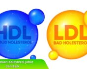 Perbedaan Kolesterol Jahat dan Baik dan Dampaknya terhadap Risiko Penyakit
