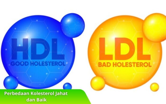 Perbedaan Kolesterol Jahat dan Baik dan Dampaknya terhadap Risiko Penyakit