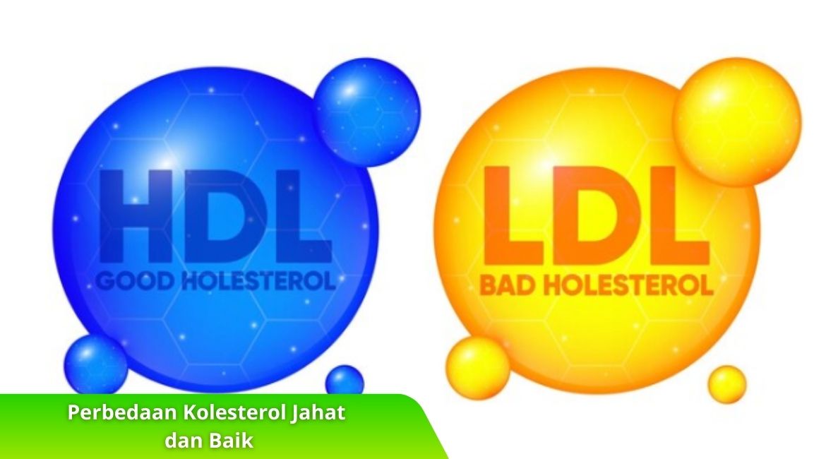 Perbedaan Kolesterol Jahat dan Baik dan Dampaknya terhadap Risiko Penyakit Perbedaan Kolesterol Jahat dan Baik dan Dampaknya terhadap Risiko Penyakit